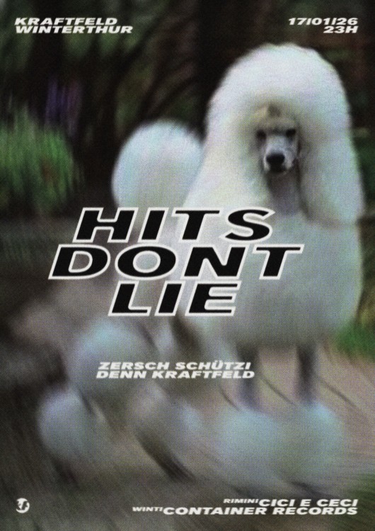 Hits don’t lie, Cici e Ceci, Container Records